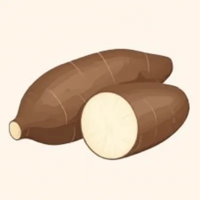 Illustration yuca - Image 1