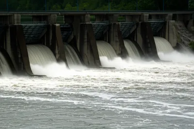 Illustration harnessed