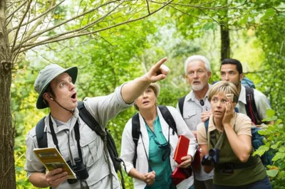 Illustration stringers - Image 1