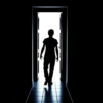 Illustration reversed - Image 1