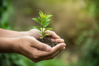 Illustration hands - Image 1