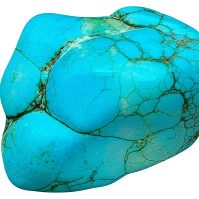 Illustration turquoise - Image 1