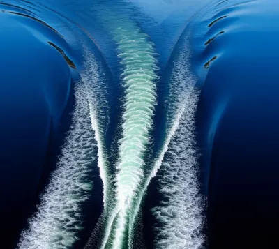 Illustration wake - Image 1