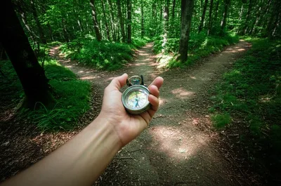 Illustration orients - Image 1