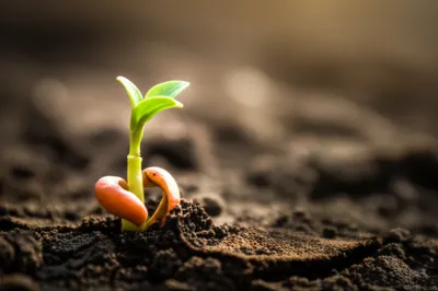 Illustration birth - Image 1