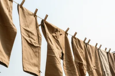 Illustration duck - Image 1