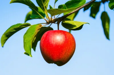 Illustration drop - Image 1