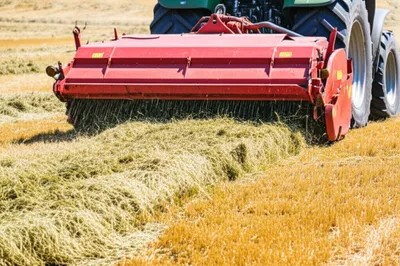 Illustration conditioner - Image 1