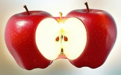 Illustration doubling - Image 1