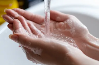 Illustration lavatories - Image 1