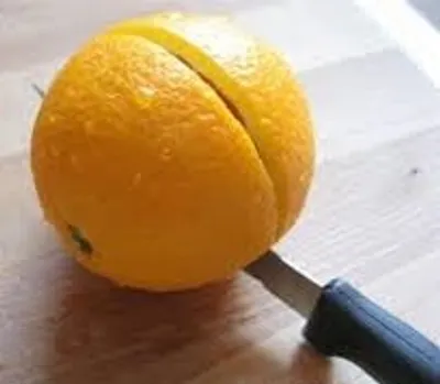 Illustration severance - Image 3