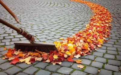 Illustration swept - Image 1