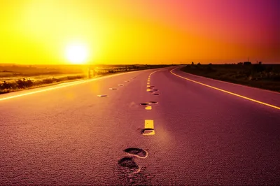 Illustration continues - Image 1