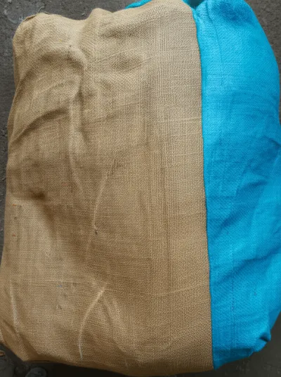 Illustration fadge - Image 1