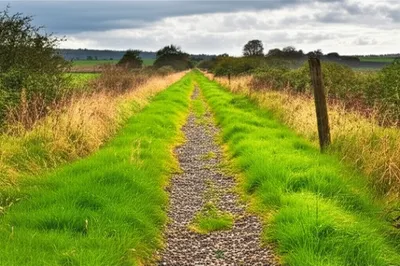 Illustration trackbed - Image 1