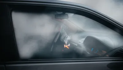 Illustration clambake - Image 1