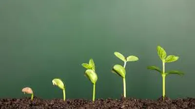 Illustration evolve - Image 3