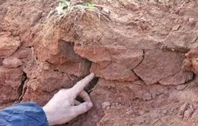 Illustration pan - Image 2