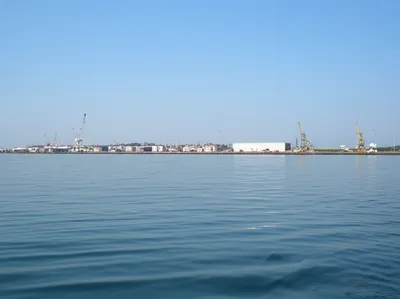 Illustration shore - Image 1