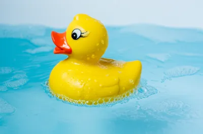 Illustration ducked - Image 1