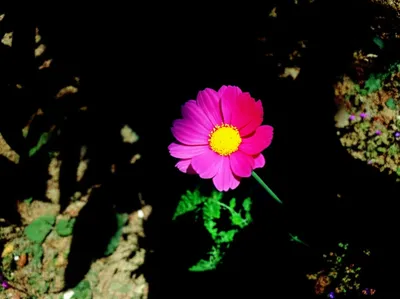 Illustration overshadow