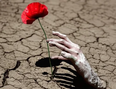 Illustration dead - Image 1