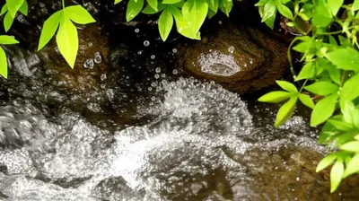 Illustration aerated - Image 2