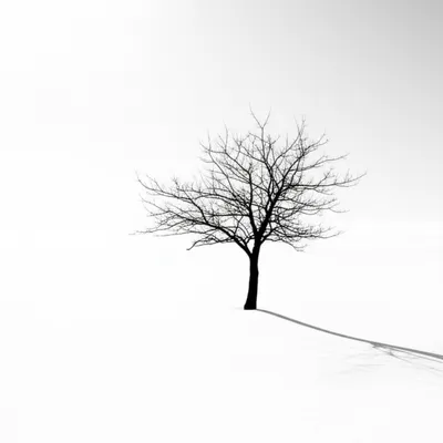 Illustration stark - Image 1