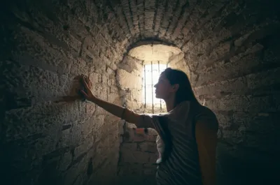 Illustration immuring - Image 1