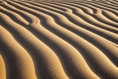 Illustration ridged - Image 1