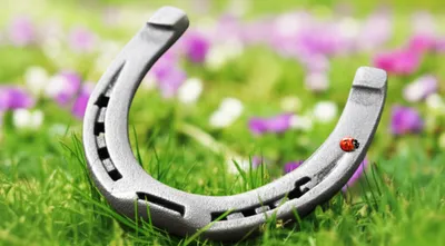 Illustration u - Image 1