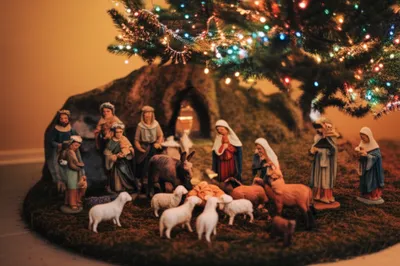 Illustration putz - Image 1