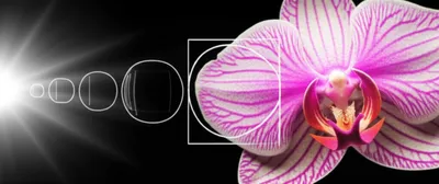 Illustration condenser - Image 1