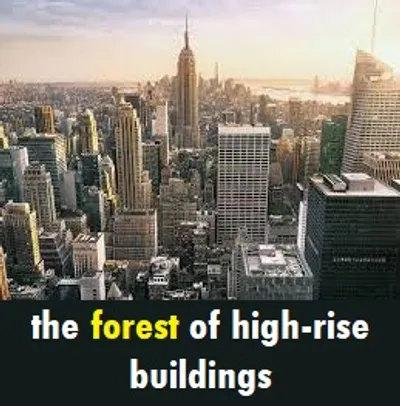 Illustration forest - Image 3