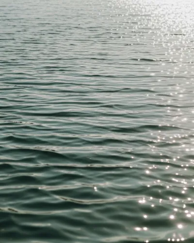 Illustration riffled - Image 1