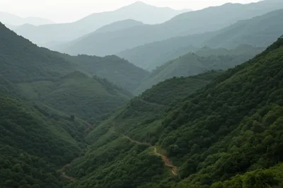 Illustration bushes - Image 1