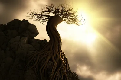 Illustration abode - Image 1