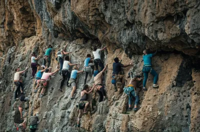 Illustration swarms - Image 1