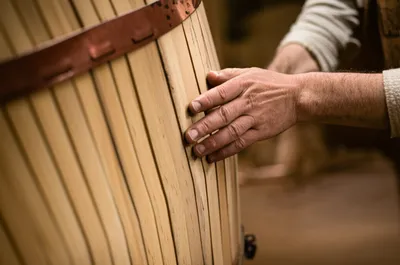 Illustration staved - Image 1