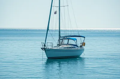 Illustration tailed - Image 1