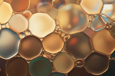 Illustration socializing