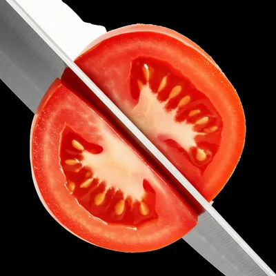 Illustration cutting - Image 1