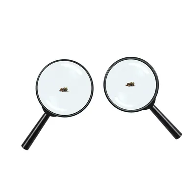 Illustration closely