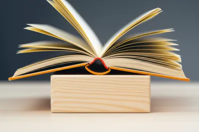 Illustration platform - Image 1