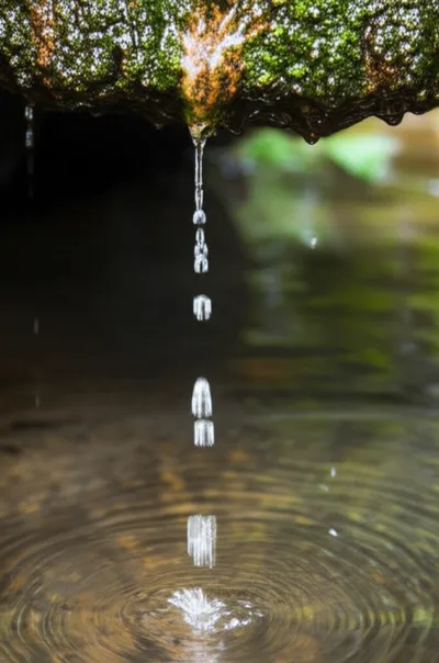 Illustration trickles - Image 2