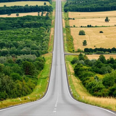 Illustration necks - Image 1