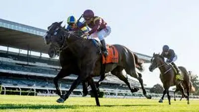 Illustration turf - Image 2