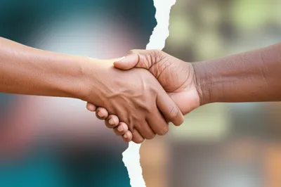 Illustration partnerships