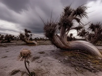 Illustration bitches - Image 1