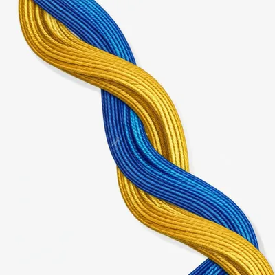 Illustration woven - Image 1